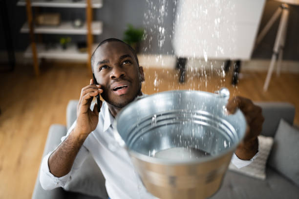 Best Water damage restoration near me  in Fairfield University, CT
