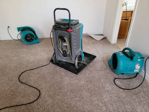 Best Professional water damage repair  in Fairfield University, CT