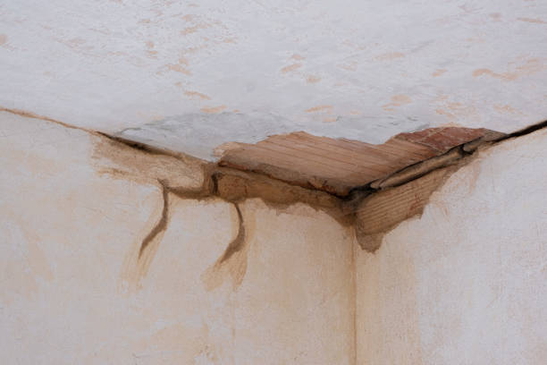 Best Fire Damage Restoration  in Fairfield University, CT
