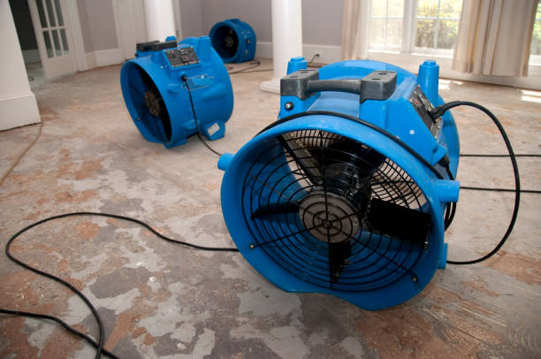 Best Flooded house restoration  in Fairfield University, CT