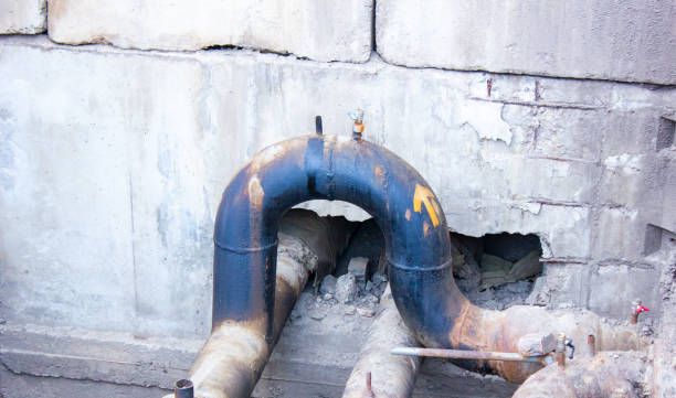Best Local water damage restoration  in Fairfield University, CT
