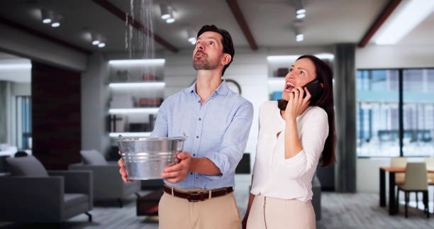 Best Flood restoration services  in Fairfield University, CT