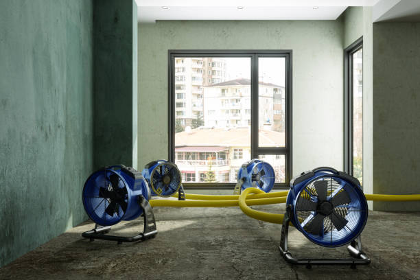 Sewage cleanup and water damage restoration in CT